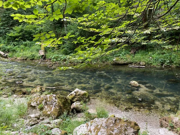 Paysage Protégé Petite Rivière Kamacnik Gorski Kotar Vrbovsko Croatie Zasticeni — Photo