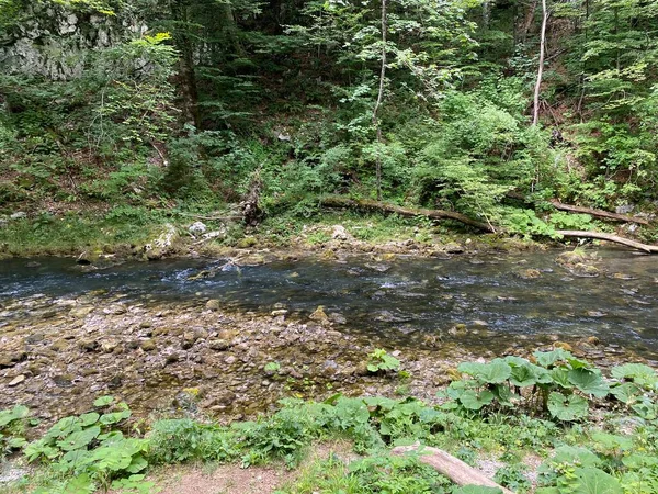 Προστατευόμενο Τοπίο Του Μικρού Ποταμού Kamacnik Στο Gorski Kotar Vrbovsko — Φωτογραφία Αρχείου