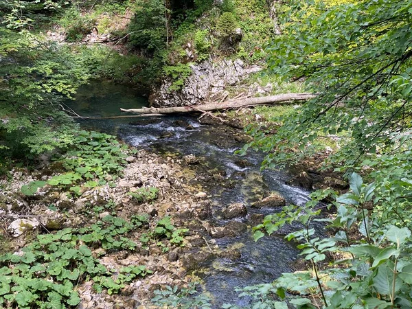 Protected Landscape Small River Kamacnik Gorski Kotar Vrbovsko Croatia Zasticeni — Stock Photo, Image