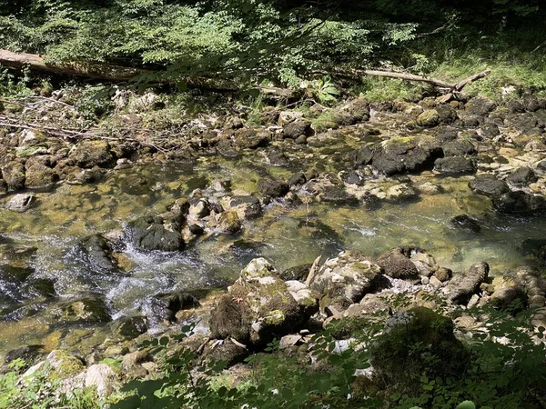 Gorski Kotar Vrbovsko Hırvatistan Daki Küçük Kamacnik Nehrinin Koruma Altındaki — Stok fotoğraf