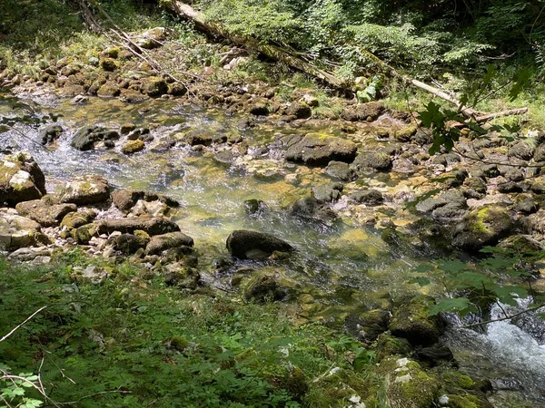 Paesaggio Protetto Del Piccolo Fiume Kamacnik Nel Gorski Kotar Vrbovsko — Foto Stock