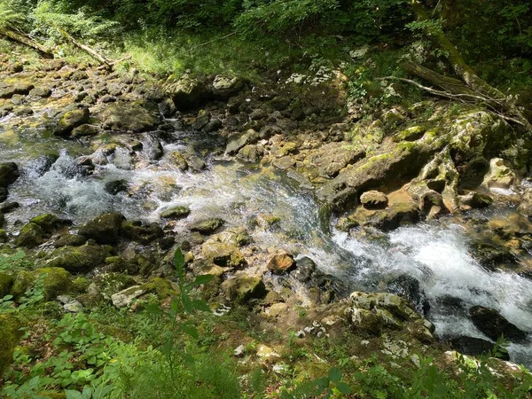 Protected Landscape Small River Kamacnik Gorski Kotar Vrbovsko Croatia Zasticeni — Stock Photo, Image