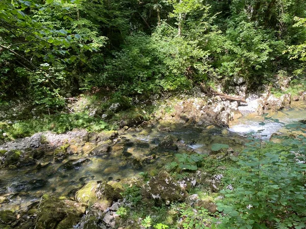 Paisaje Protegido Del Pequeño Río Kamacnik Gorski Kotar Vrbovsko Croacia — Foto de Stock