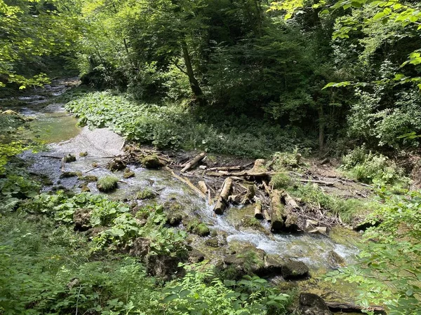 Beschermd Landschap Van Kleine Rivier Kamacnik Gorski Kotar Vrbovsko Kroatië — Stockfoto