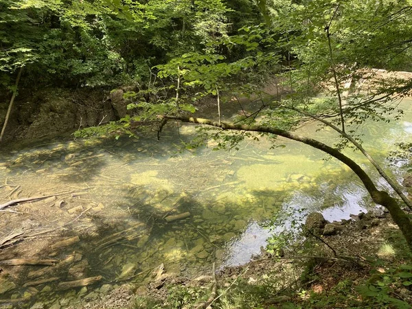 Paysage Protégé Petite Rivière Kamacnik Gorski Kotar Vrbovsko Croatie Zasticeni — Photo