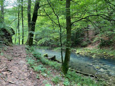 Gorski kotar 'daki Kamacnik nehir kanyonu boyunca yürüyüş yolu - Vrbovsko, Hırvatistan (Pjesacka staza duz zasticenog krajolika kanjona Kamacnik u Gorskom kotaru - Vrbovsko, Hrvatska)