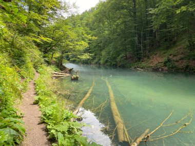 Gorski kotar 'daki Kamacnik nehir kanyonu boyunca yürüyüş yolu - Vrbovsko, Hırvatistan (Pjesacka staza duz zasticenog krajolika kanjona Kamacnik u Gorskom kotaru - Vrbovsko, Hrvatska)