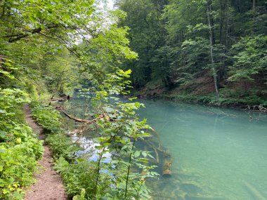 Gorski kotar 'daki Kamacnik nehir kanyonu boyunca yürüyüş yolu - Vrbovsko, Hırvatistan (Pjesacka staza duz zasticenog krajolika kanjona Kamacnik u Gorskom kotaru - Vrbovsko, Hrvatska)