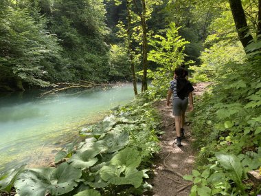 Gorski kotar 'daki Kamacnik nehir kanyonu boyunca yürüyüş yolu - Vrbovsko, Hırvatistan (Pjesacka staza duz zasticenog krajolika kanjona Kamacnik u Gorskom kotaru - Vrbovsko, Hrvatska)