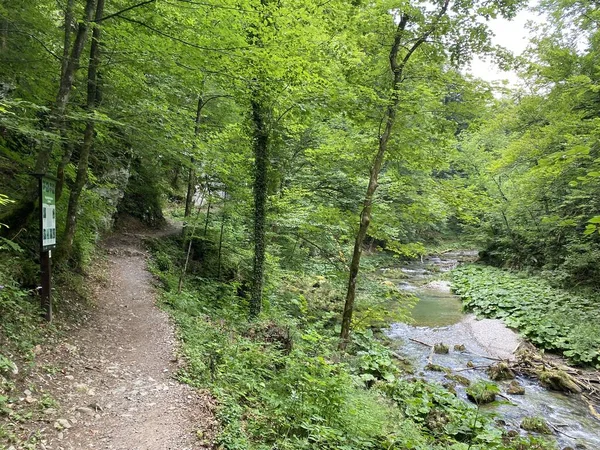 Hiking Trail Protected Landscape Kamacnik River Canyon Gorski Kotar Vrbovsko — Stock Photo, Image