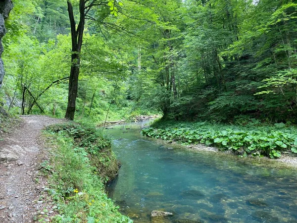 Trilha Caminhada Longo Paisagem Protegida Cânion Rio Kamacnik Gorski Kotar — Fotografia de Stock