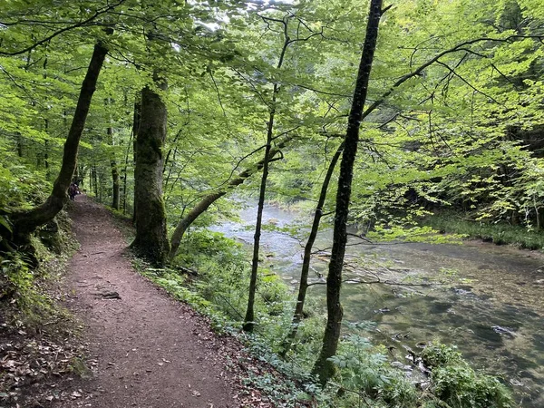 Sentier Randonnée Long Paysage Protégé Canyon Rivière Kamacnik Gorski Kotar — Photo