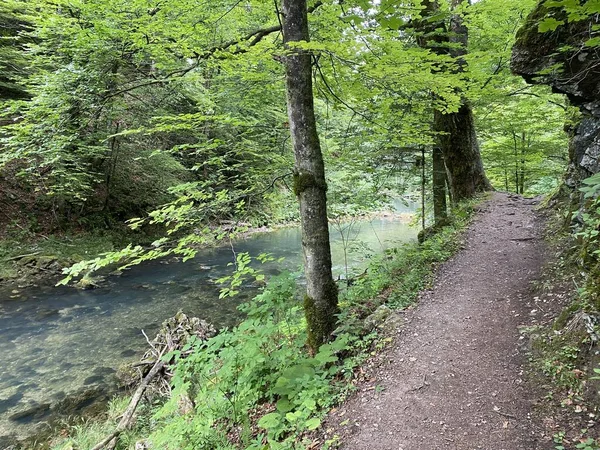 沿着克罗地亚Gorski Kotar Vrbovsko Pjesacka Staza Duz Zasticenog Krajolika Kanjona Kamacnik — 图库照片