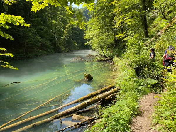 ゴルスキ コタルのカマコニク川渓谷の保護された風景に沿ってハイキングトレイル クロアチアのヴルボフスコ Pjesacka Staza Duz Zascenog Krajroika Kanjona Kamacnik — ストック写真