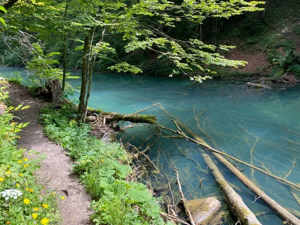 Sentier Randonnée Long Paysage Protégé Canyon Rivière Kamacnik Gorski Kotar — Photo