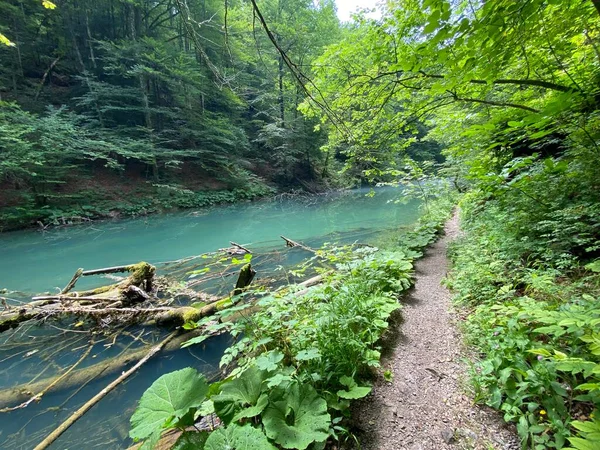 ゴルスキ コタルのカマコニク川渓谷の保護された風景に沿ってハイキングトレイル クロアチアのヴルボフスコ Pjesacka Staza Duz Zascenog Krajroika Kanjona Kamacnik — ストック写真