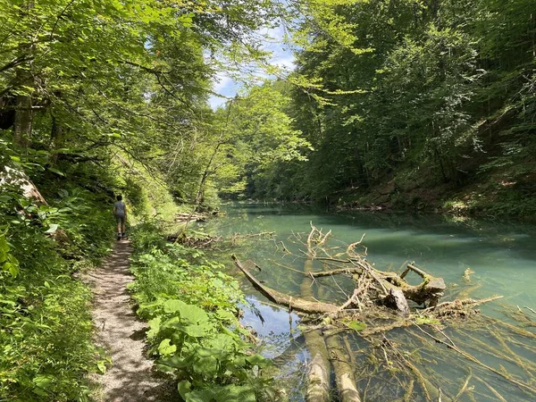 Trilha Caminhada Longo Paisagem Protegida Cânion Rio Kamacnik Gorski Kotar — Fotografia de Stock