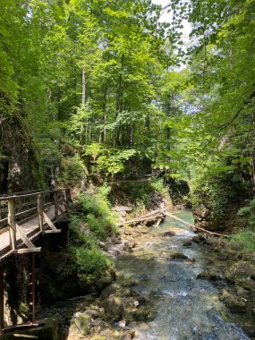 Vrbovsko, Hırvatistan (Drvene pjesacke staze i mostici duz zasticenog krajolika kanjona Kamacnik - Gorski kotar, Hrvatska)
