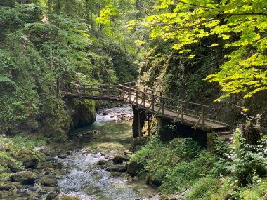 Vrbovsko, Hırvatistan (Drvene pjesacke staze i mostici duz zasticenog krajolika kanjona Kamacnik - Gorski kotar, Hrvatska)