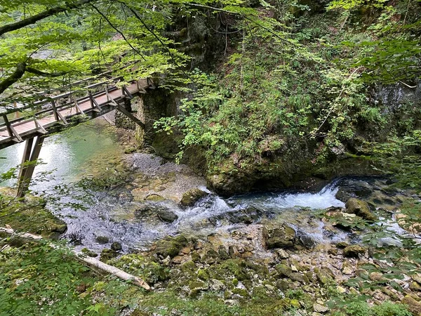 Trilhas Madeira Pontes Longo Paisagem Protegida Cânion Kamacnik Vrbovsko Croácia — Fotografia de Stock