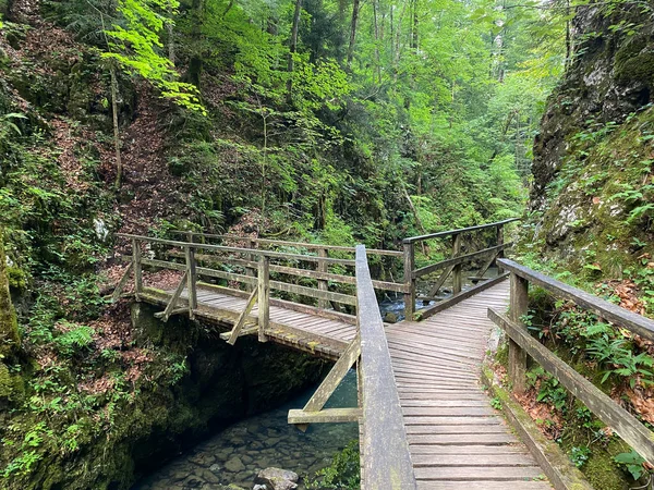 Senderos Puentes Madera Largo Del Paisaje Protegido Del Cañón Kamacnik — Foto de Stock