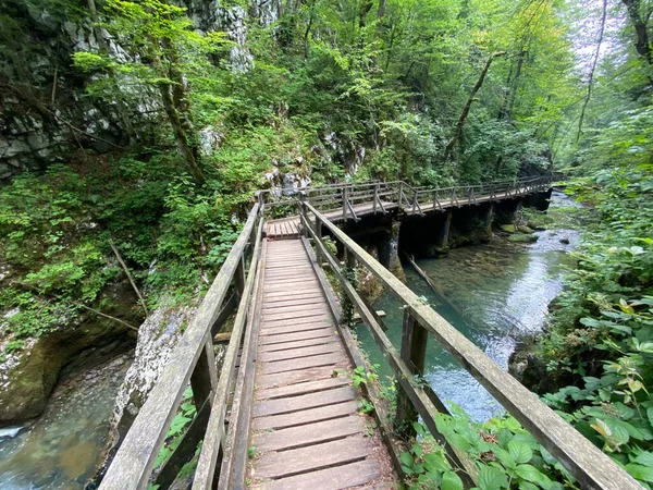 Senderos Puentes Madera Largo Del Paisaje Protegido Del Cañón Kamacnik — Foto de Stock