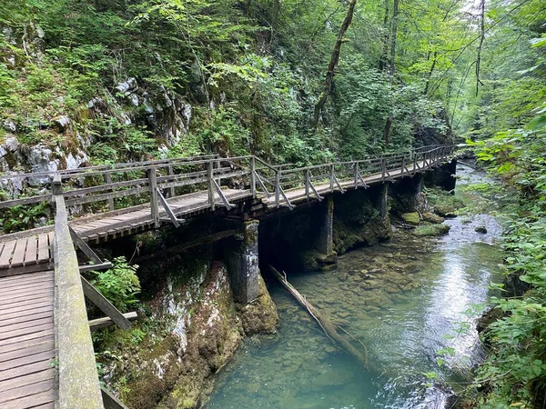 Senderos Puentes Madera Largo Del Paisaje Protegido Del Cañón Kamacnik — Foto de Stock