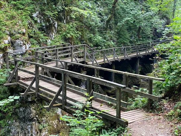 Sentiers Randonnée Bois Ponts Long Paysage Protégé Canyon Kamacnik Vrbovsko — Photo