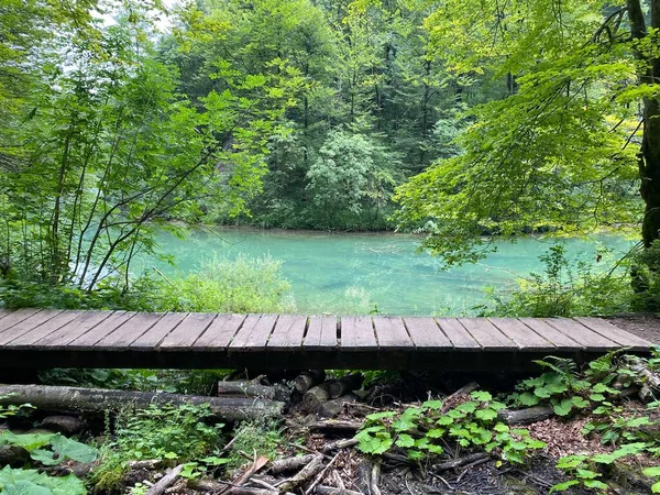 Wooden Hiking Trails Bridges Protected Landscape Kamacnik Canyon Vrbovsko Croatia — Stock Photo, Image