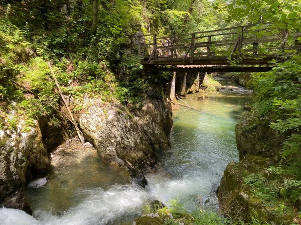 Fából Készült Túraútvonalak Hidak Kamacnik Kanyon Védett Tája Mentén Vrbovsko — Stock Fotó