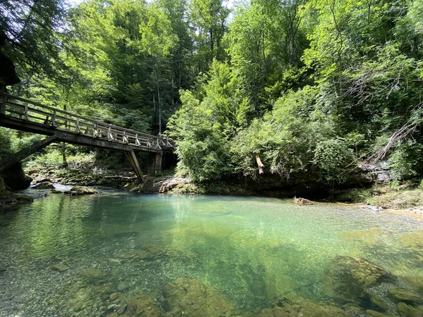 Kamacnik渓谷の保護された風景に沿って木製のハイキングコースと橋 クロアチアのVrbovsko Drvene Pjesacke Staze Mostici Duz Zascenog Krajroika Kanjona — ストック写真
