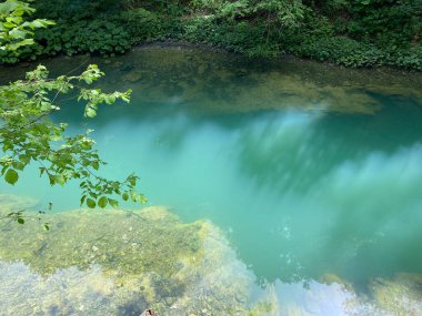 Korunan peyzaj karst baharı Kamacnik ya da Kamacnik Gorski kotar nehrinin kaynağı - Vrbovsko, Hırvatistan (Zasticeni krajolik krasko vrelo Kamacnika ili izvor rjecice Kamacnik u Gorskom kotaru, Hrvatska)