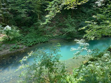 Korunan peyzaj karst baharı Kamacnik ya da Kamacnik Gorski kotar nehrinin kaynağı - Vrbovsko, Hırvatistan (Zasticeni krajolik krasko vrelo Kamacnika ili izvor rjecice Kamacnik u Gorskom kotaru, Hrvatska)