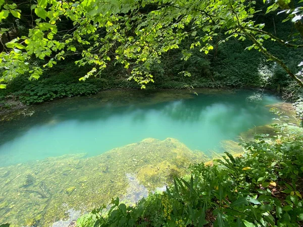 Paisagem Protegida Carste Primavera Kamacnik Nascente Rio Kamacnik Gorski Kotar — Fotografia de Stock