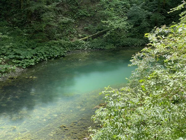 Προστατευόμενο Τοπίο Karst Άνοιξη Kamacnik Πηγή Του Ποταμού Kamacnik Gorski — Φωτογραφία Αρχείου