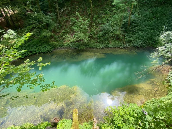 Karstquelle Kamacnik Oder Quelle Des Flusses Kamacnik Gorski Kotar Vrbovsko — Stockfoto