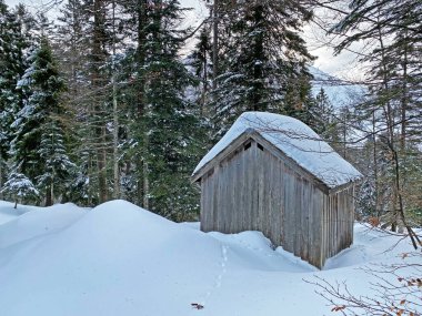 İsviçre dağ kulübeleri kışlık giysiler içinde ve Alpstein dağ sırasının yamaçlarında taze bir kar örtüsüyle Schwaegalp, İsviçre (Schweiz)