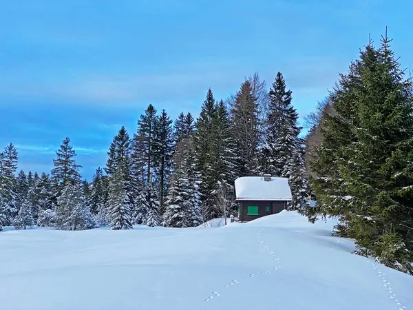 Швейцарські Альпійські Хатинки Вбрані Зимовий Одяг Свіжому Сніговому Покриві Схилах — стокове фото