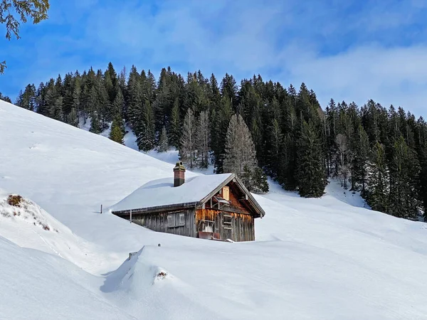 İsviçre dağ kulübeleri kışlık giysiler içinde ve Alpstein dağ sırasının yamaçlarında taze bir kar örtüsüyle Schwaegalp, İsviçre (Schweiz)
