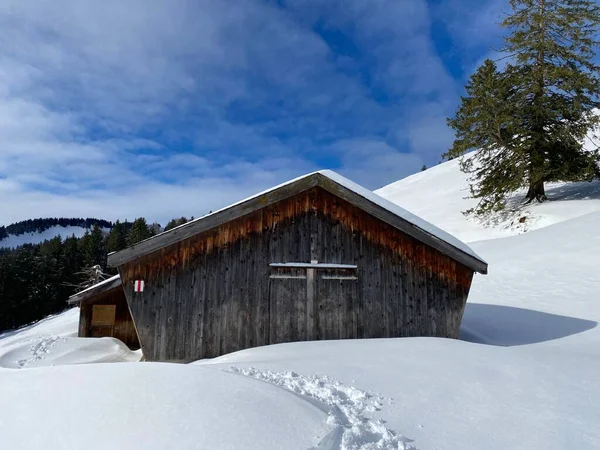 Idyllische Zwitserse Berghutten Gekleed Winterkleding Een Frisse Sneeuwlaag Hellingen Alpstein — Stockfoto