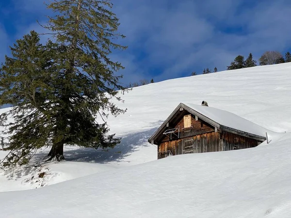冬の服を着た牧歌的なスイスの高山の山小屋とアルプスシュタイン山脈の斜面の新鮮な雪のカバー マウンテンパス シュヴァーゲガルプ スイス スイス — ストック写真