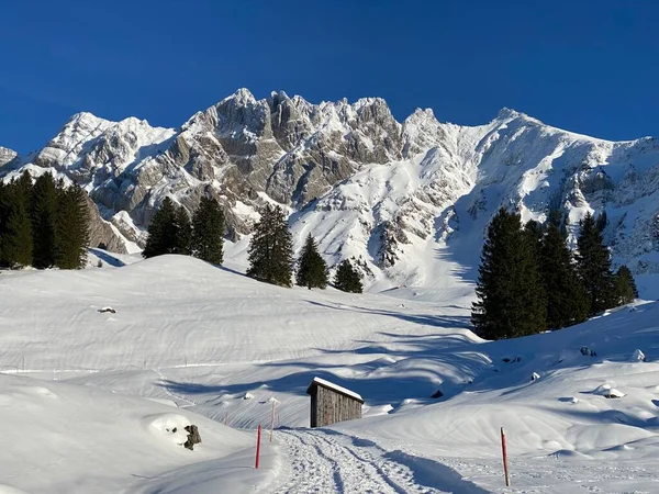İsviçre dağ kulübeleri kışlık giysiler içinde ve Alpstein dağ sırasının yamaçlarında taze bir kar örtüsüyle Schwaegalp, İsviçre (Schweiz)