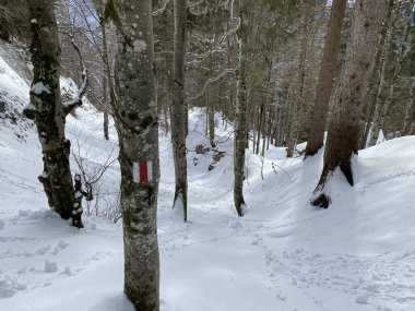 İsviçre 'nin Schwaegalp dağ geçidi, İsviçre' deki Alpstein kalabalığının sakin kış atmosferinde gezinme işaretleri ve yön işaretleri (Schweiz)