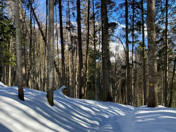 Wandermarkierungen Und Orientierungsschilder Mit Wegweisern Zum Navigieren Idyllischen Winterambiente Des — Stockfoto