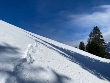 Schwaegalp dağ geçidi, Apenzell Ausserrhoden Kantonu, İsviçre (Schweiz)