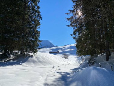 Schwaegalp dağ geçidi, Apenzell Ausserrhoden Kantonu, İsviçre (Schweiz)