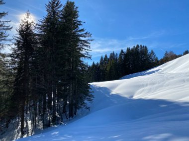 Schwaegalp dağ geçidi, Apenzell Ausserrhoden Kantonu, İsviçre (Schweiz)