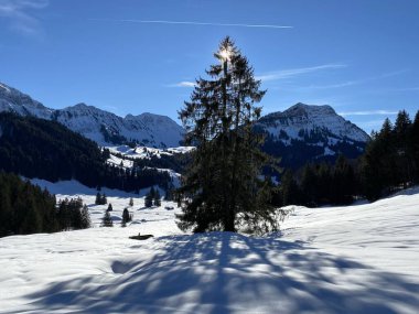 Schwaegalp dağ geçidi, Apenzell Ausserrhoden Kantonu, İsviçre (Schweiz)