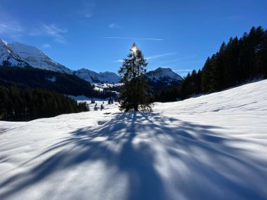 Schwaegalp dağ geçidi, Apenzell Ausserrhoden Kantonu, İsviçre (Schweiz)