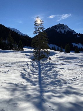 Schwaegalp dağ geçidi, Apenzell Ausserrhoden Kantonu, İsviçre (Schweiz)